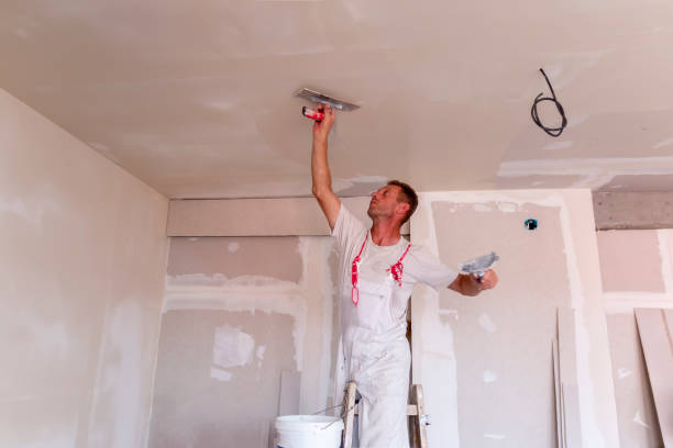 Best Drywall Texturing  in Southwest Sandhill, TX